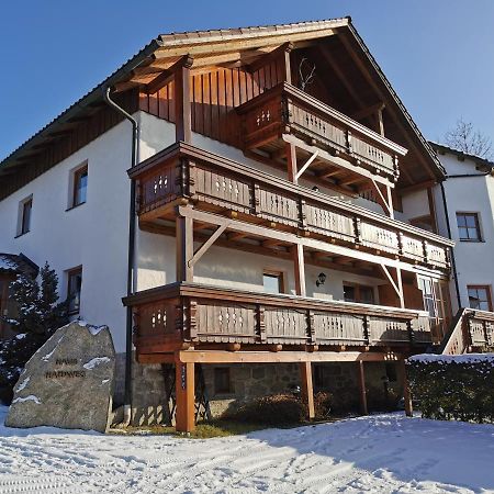 Haus Haidweg - Ferienwohnungen In Haidmuehle Im Dreilaendereck De-Cz-At Esterno foto