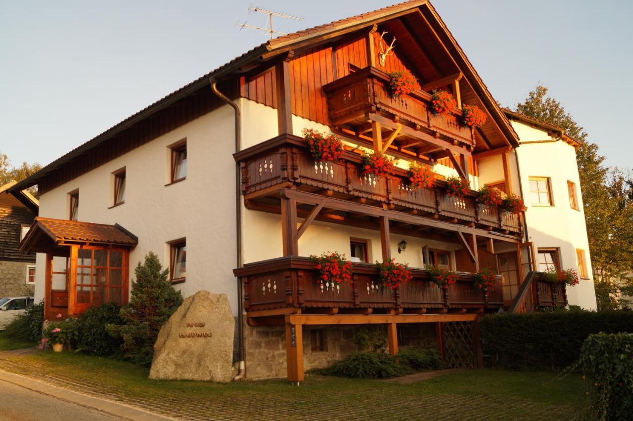 Haus Haidweg - Ferienwohnungen In Haidmuehle Im Dreilaendereck De-Cz-At Esterno foto